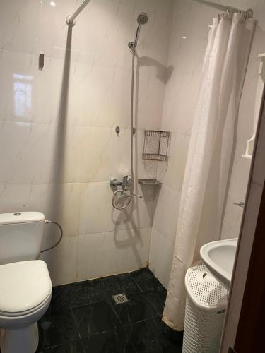 a bathroom with a shower and a toilet and a sink at family house in Aghk'ilisa