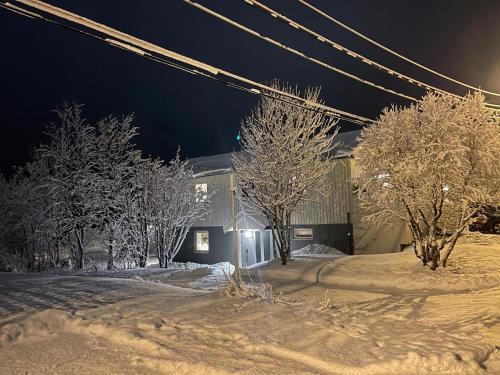una casa con árboles cubiertos de nieve por la noche en Fredelig leilighet med utsiktsplass til nordlys, en Tromsø