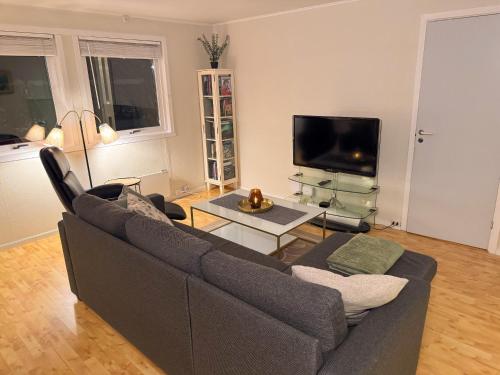 un soggiorno con divano e TV a schermo piatto di Fredelig leilighet med utsiktsplass til nordlys a Tromsø