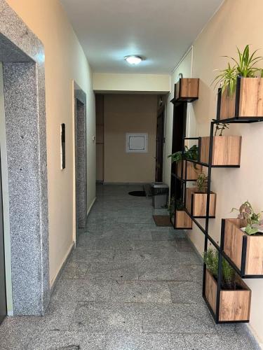 a hallway with potted plants on the wall at House in Baku