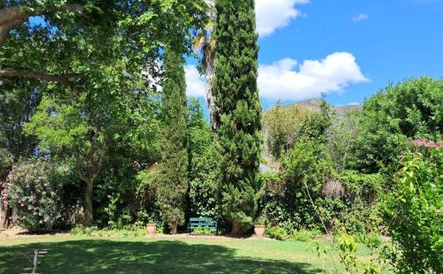 Cypress Cottage No 80 في غراف-رينيت: حديقة بها مقعد بين شجرتين طويلتين