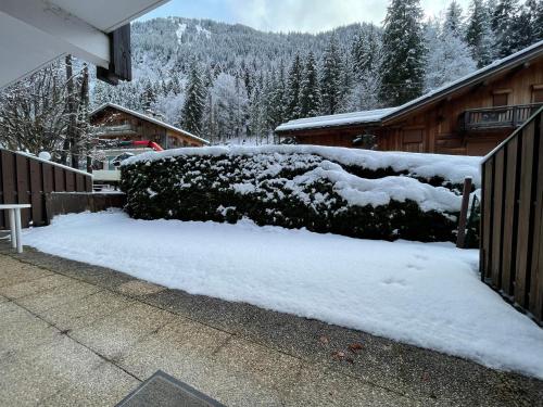 Alpine Serenity