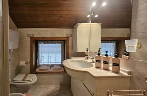 a bathroom with a sink and a toilet at San Rocco Lodge in Livigno