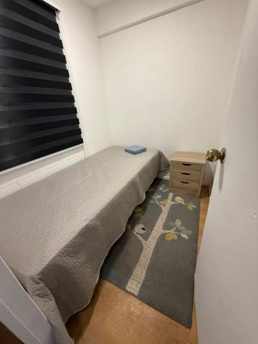 a bedroom with a bed with a rug and a window at Departamento cerca de la playa in La Serena