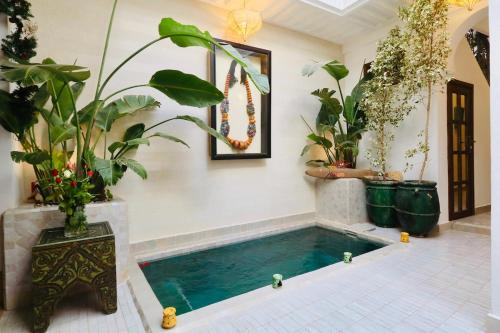 a swimming pool in a room with plants at Riad Beata - Private use option - in Marrakech