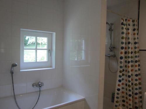 ein Bad mit einer Badewanne und einer Dusche mit einem Fenster in der Unterkunft Maison De Blanche Neige in Court-Saint-Étienne
