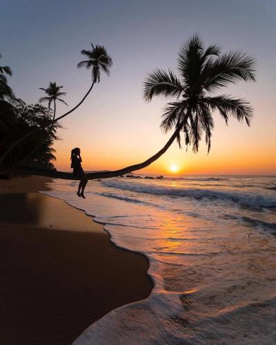 una mujer corriendo en la playa con una palmera en Imaa freedom house, en Nilwella