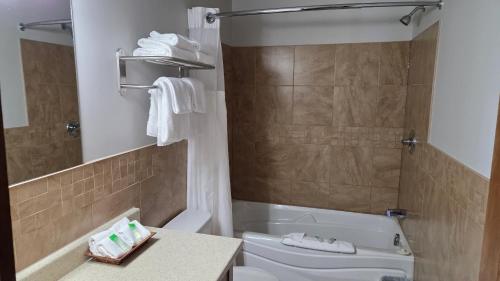 a bathroom with a white toilet and a sink at Chalets l'Acadien sur mer in Petit Rocher