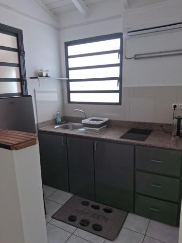 eine Küche mit grünen Schränken, einem Waschbecken und einem Fenster in der Unterkunft Gwada Vakans in Saint-François