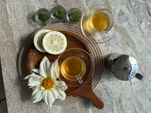 Ποτά στο Avatara - Mahavatar Babaji Cave