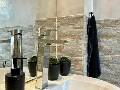 a bathroom sink with a faucet and potted plants on it at Sonnendeck - Wellness Whirlpool Garden & Grill,125qm in Meerbusch