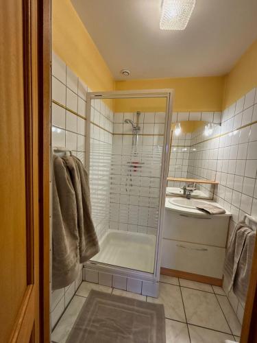 ein Badezimmer mit Dusche und Waschbecken in der Unterkunft Domaine Wagenbourg à Soultzmatt in Soultzmatt