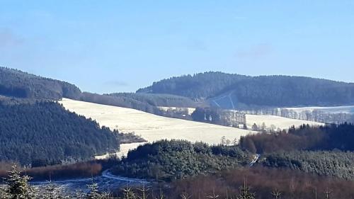 a view of a valley with trees and a river at Ferienwohnung Gartenblick in Eslohe