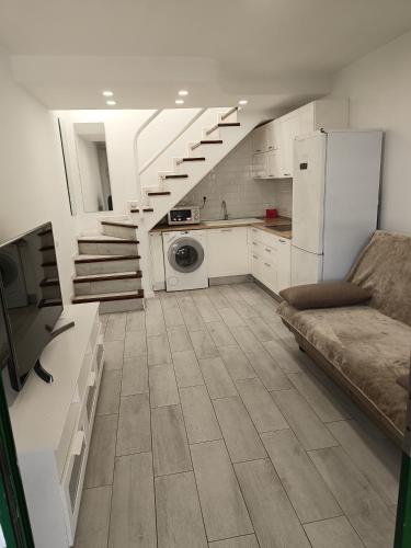 Maspalomas Dunaflor Verde