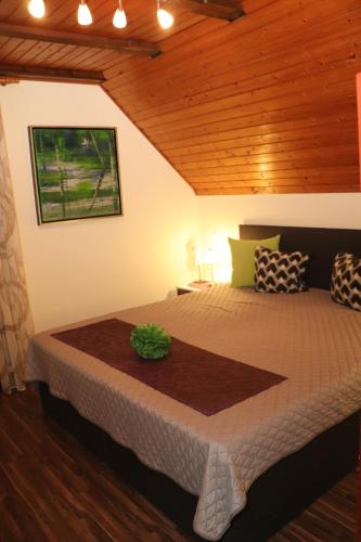 Φωτογραφία από το άλμπουμ του Schlaucher στην Καρλσρούη