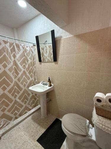 a bathroom with a sink and a toilet and a mirror at Casa Terral in Balastre Rojo