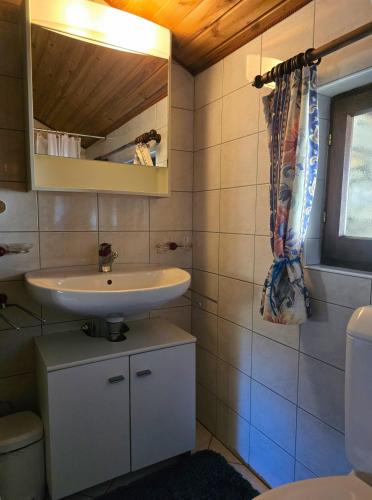 a bathroom with a sink and a toilet at Rustico Kevin by HolAp SA in Brissago