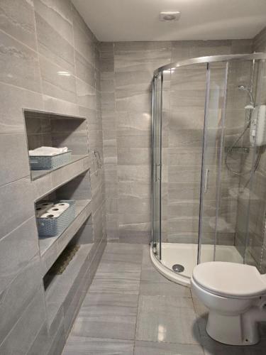 a bathroom with a toilet and a glass shower at Clifden Town Centre Apartment in Clifden