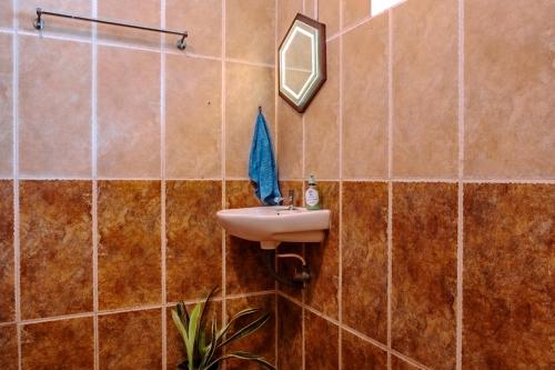 6 Elements Bedrooms With Event Space 4500 Sq Ft في تريفاندروم: حمام مزود بحوض ومِرآة