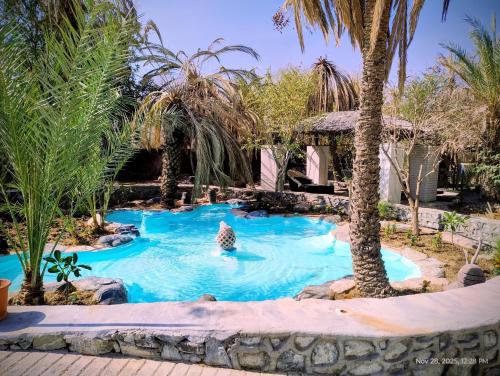 Πισίνα στο ή κοντά στο Shoka escape farm