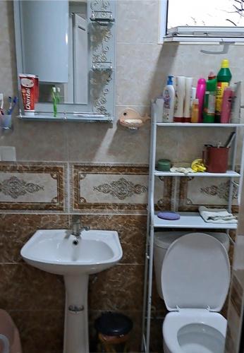 a bathroom with a sink and a toilet and a mirror at olya's garden in Itʼkhvisi