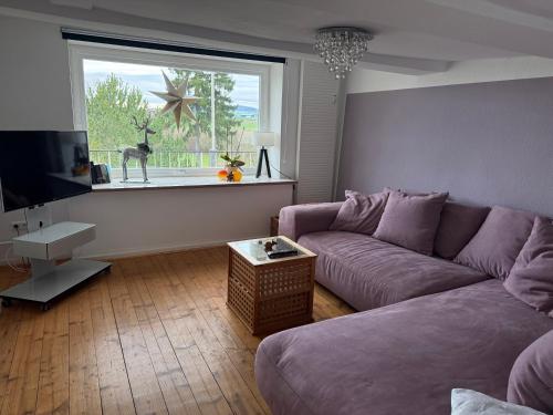 a living room with a purple couch and a window at Gemütlichkeit im Fachwerkhaus, 3 Schlafzimmer, Balkon, Parkplatz in Wolfhagen