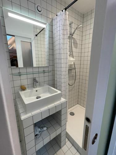 Loft de la Chartreuse Gravelotte