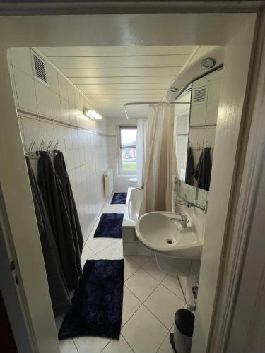 a bathroom with a sink and a toilet and a shower at Nussknackerstube in Seiffen