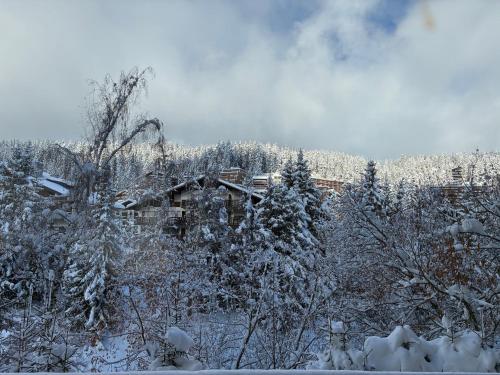 a house is covered in snow with trees at Residence Caddies Club in Crans-Montana