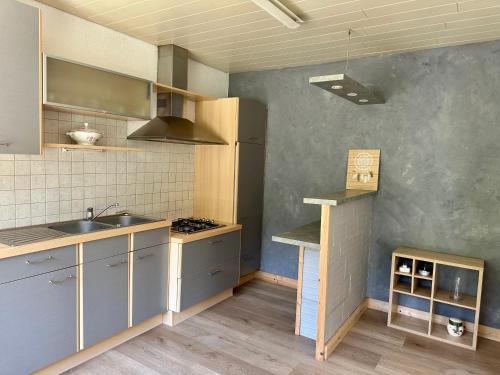 a kitchen with a sink and a stove top oven at Gîte le Frêne 