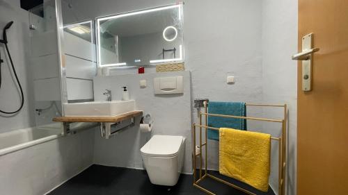 a small bathroom with a sink and a toilet at Charming accommodation in Radebeul Altkötzenbroda in Radebeul