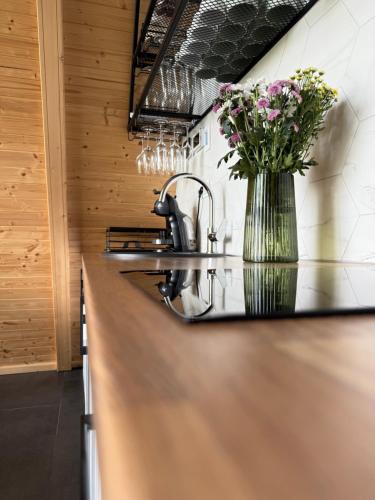 科马尔尼克AHA Cabin的厨房配有水槽和花瓶