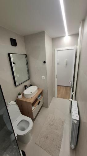 ein Badezimmer mit Toilette, Waschbecken und Spiegel in der Unterkunft Studio apartman OAZA in Vukovar