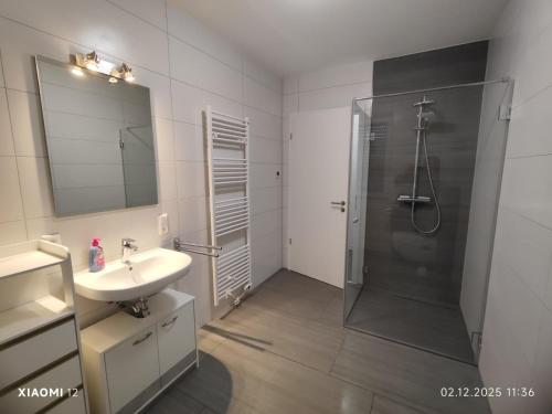 a bathroom with a shower and a sink and a mirror at Fe-Wo Varenrode in Spelle