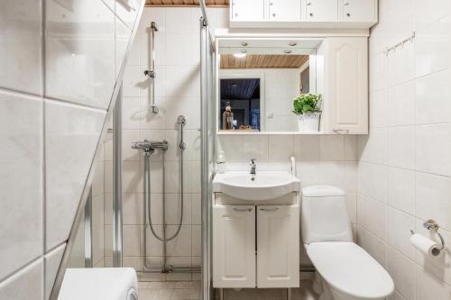 a bathroom with a shower and a sink and a toilet at Levi Lumia Home, Moonlight 409 in Levi