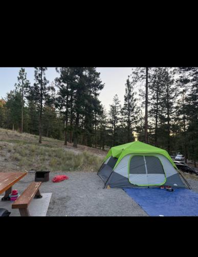a green and blue tent sitting in a field at Delta Guest House Merritt in Merritt