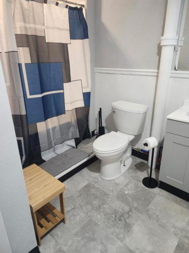 a bathroom with a toilet and a shower curtain at Oswego 3BR Apt close to SUNY, Downtown & Lake Ontario in Oswego