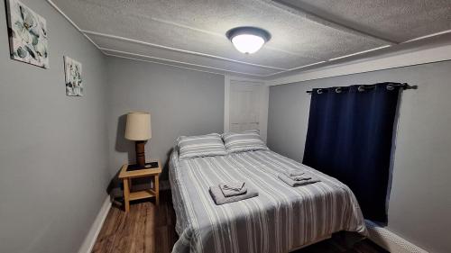 a small bedroom with a bed and a blue curtain at Central Apartment, Steps from the Park in Oswego