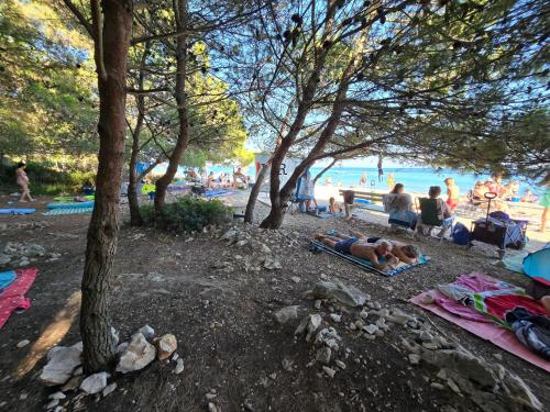 un gruppo di persone sdraiate sulla spiaggia sotto gli alberi di Apartments Lora a Vir (Puntadura)