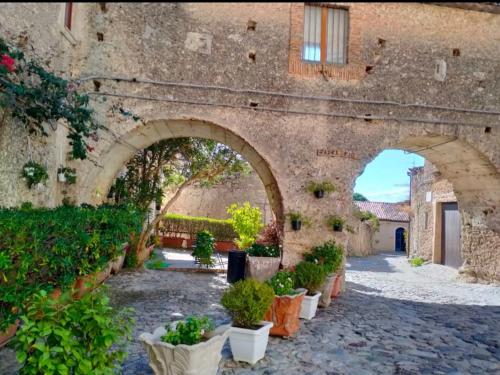an archway in a stone building with potted plants at Casa Daniele in Gerace