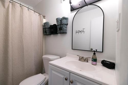 ein Badezimmer mit Toilette, Waschbecken und Spiegel in der Unterkunft Renegade 236 - 3 minute walk to FSU in Tallahassee