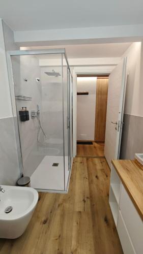 a bathroom with a glass shower and a sink at Il Laricino in Predazzo