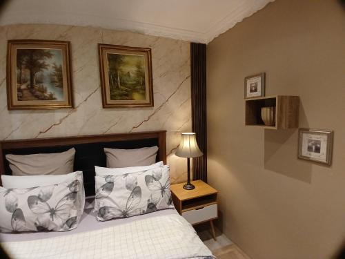 Postel nebo postele na pokoji v ubytování Chevli Accomodation