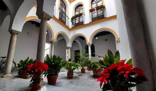 Centro Sevilla elegante Homecenter FB photo 7