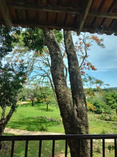 a view of a tree from a porch at Pousada Oxente Uai! in Pirenópolis