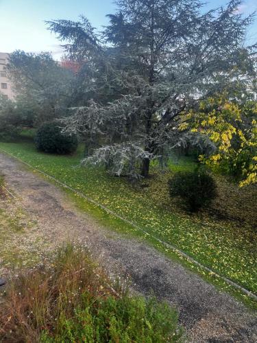 Appartement T3 Parking - Bordeaux