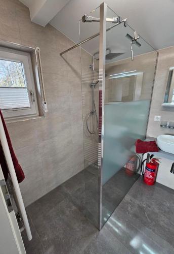 a bathroom with a glass shower and a sink at Ferienhaus Kammblick in Schmerbach