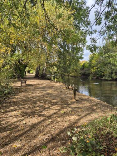 a row of benches next to a river at Studio in Raynes Park