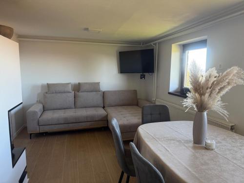 Μια τηλεόραση ή/και κέντρο ψυχαγωγίας στο Private Forest Cabin with Epic View