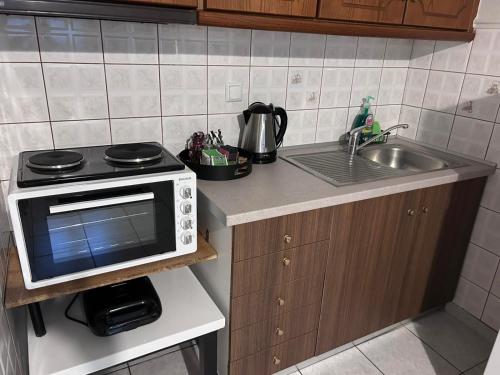 Δίπλα στον Μύλο Ξωτικών في تريكالا: مطبخ صغير مع ميكروويف ومغسلة